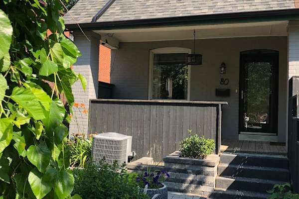 House sit in Toronto, ON, Canada