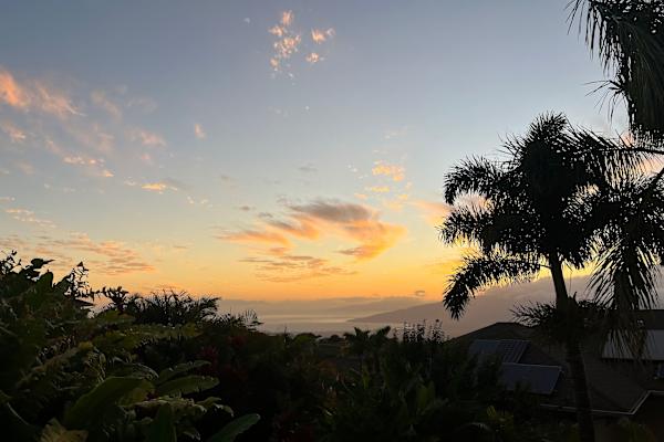 House sit in Kula, HI, US