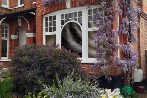 House sit in Southgate, United Kingdom