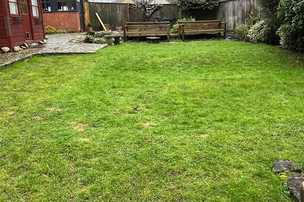 House sit in Sidmouth, United Kingdom