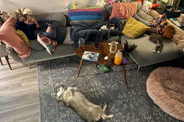 House sit in San Francisco, CA, US