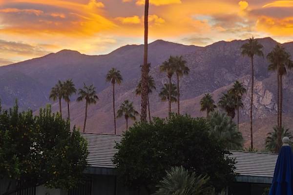 House sit in Palm Springs, CA, US