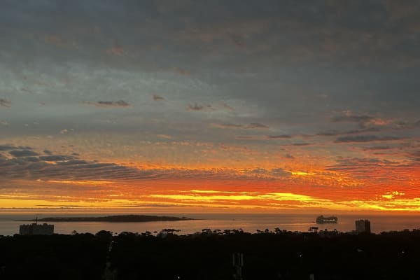 House sit in Punta del Este, Uruguay