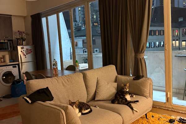 House sit in Hong Kong, Hong Kong