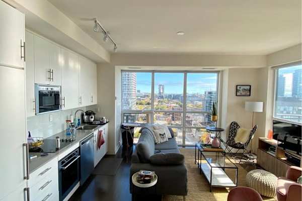 House sit in Toronto, ON, Canada