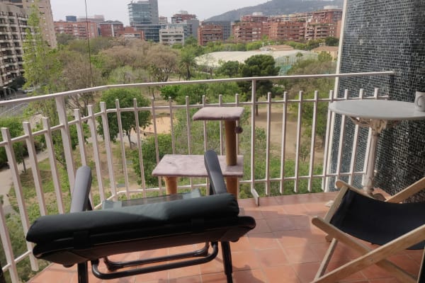 House sit in Barcelona, Spain