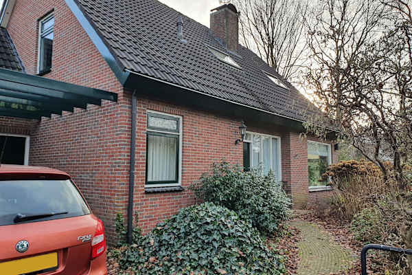 House sit in Groningen, Netherlands