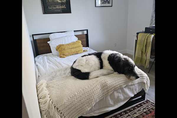 House sit in Milwaukie, OR, US