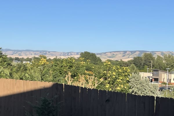 House sit in Walla Walla, WA, US