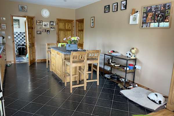 House sit in Virginia, Ireland