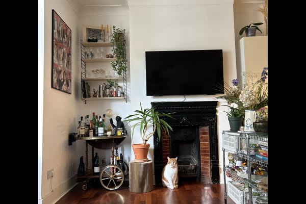 House sit in Walthamstow, United Kingdom