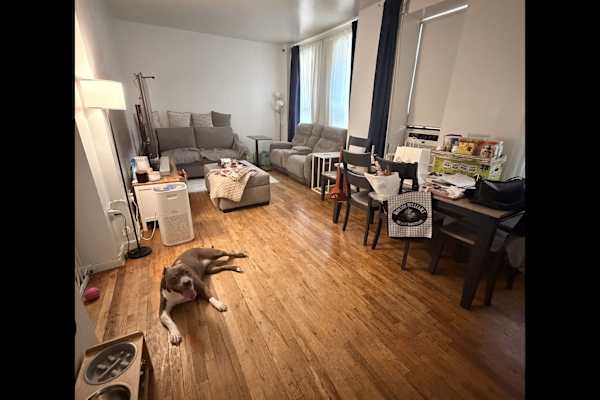 House sit in New York City, NY, US