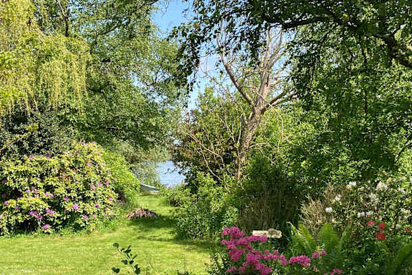 House sit in Alphen aan den Rijn, Netherlands