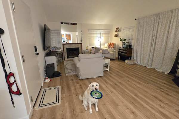 House sit in San Diego, CA, US