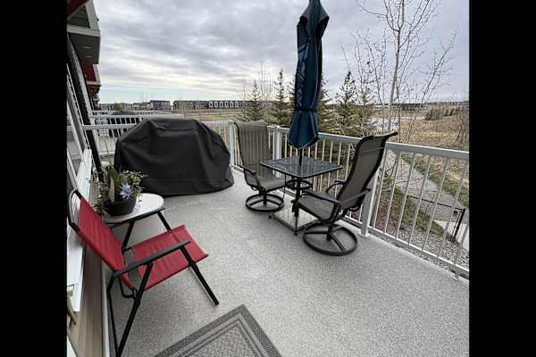 House sit in Calgary, AB, Canada