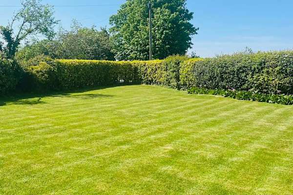 House sit in Childer Thornton, United Kingdom