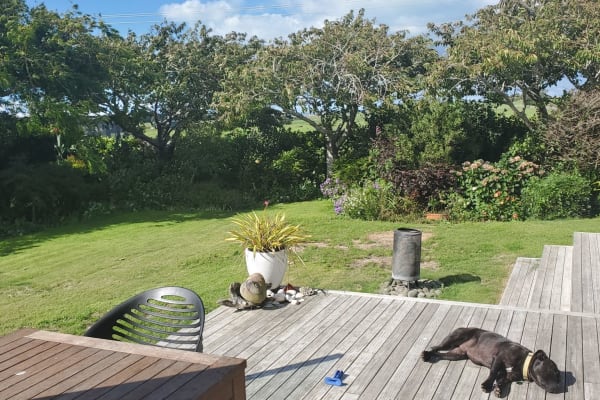 House sit in Waitara, New Zealand