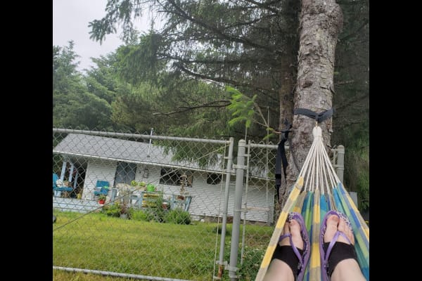 House sit in Ocean Shores, WA, US