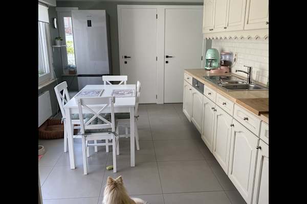 House sit in Zeebrugge, Belgium