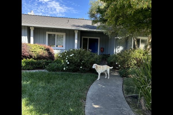 House sit in Santa Cruz, CA, US