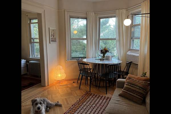 House sit in Brooklyn, NY, US