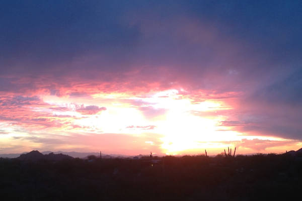 House sit in Scottsdale, AZ, US