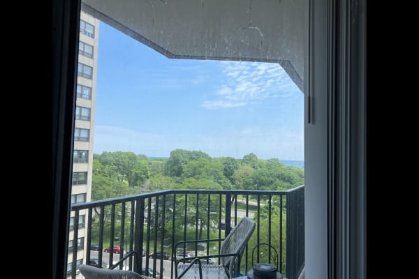 House sit in Chicago, IL, US