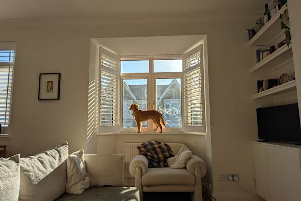 House sit in Tufnell Park, United Kingdom