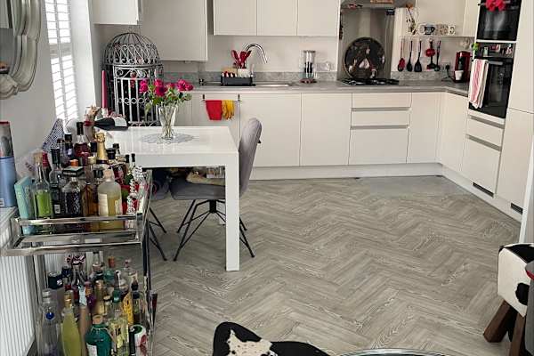 House sit in Greenhithe, United Kingdom