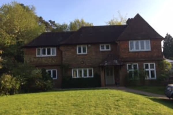 House sit in Haslemere, United Kingdom