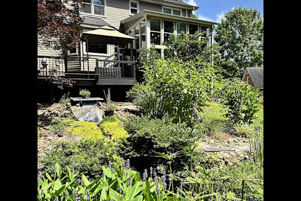 House sit in Simpsonville, SC, US