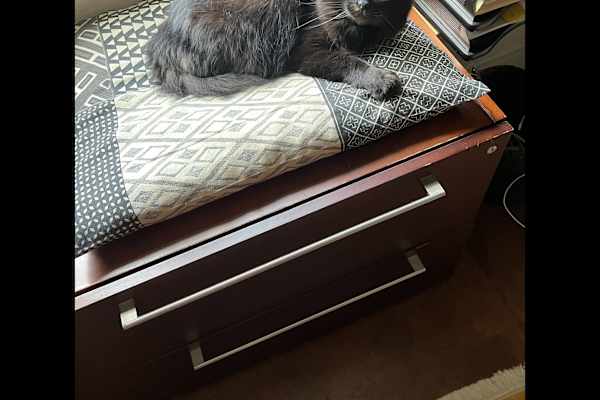 House sit in Vashon, WA, US