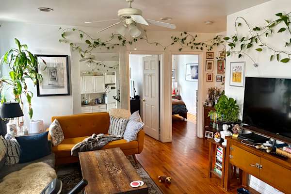 House sit in Brooklyn, NY, US