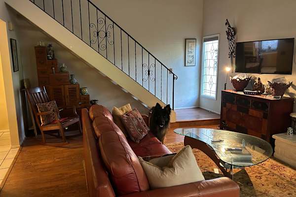 House sit in Goleta, CA, US