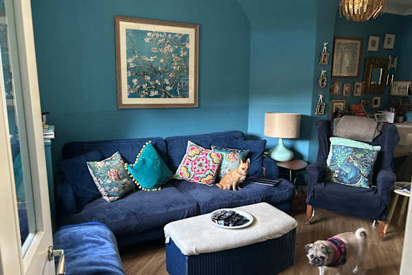 House sit in Haslemere, United Kingdom