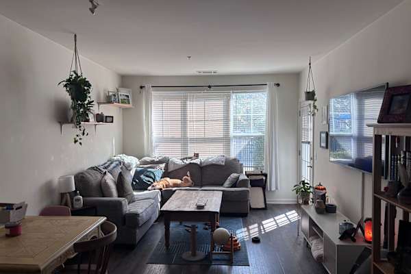 House sit in Norwalk, CT, US