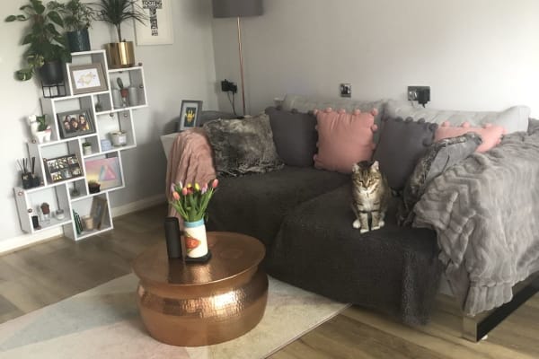 House sit in London, United Kingdom