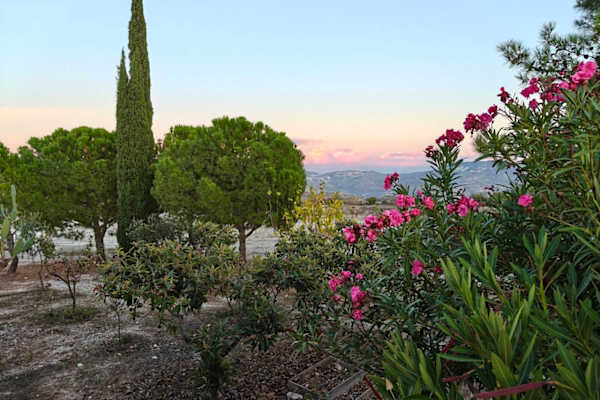 House sit in Pentaliá, Cyprus