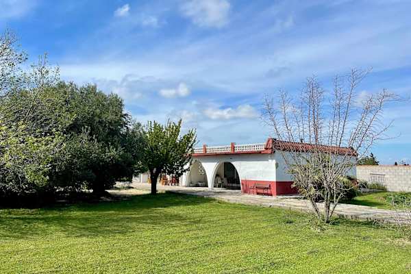 House sit in Chiclana de la Frontera, Spain