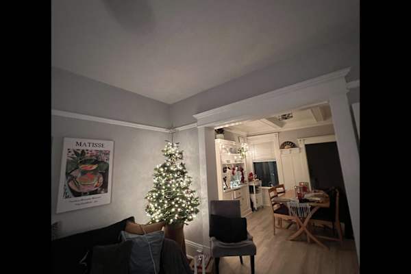 House sit in San Francisco, CA, US