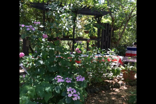 House sit in Santa Rosa, CA, US