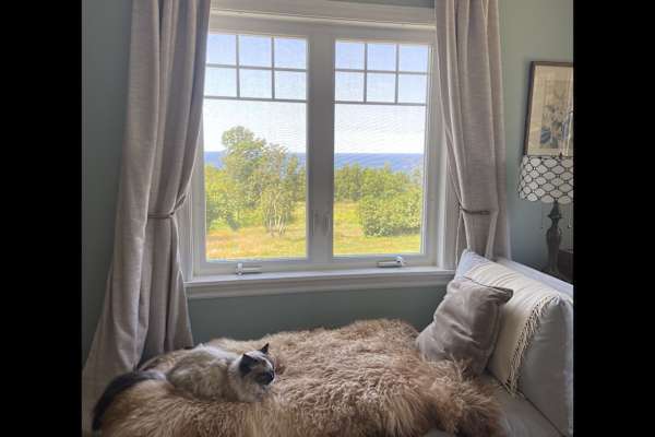 House sit in Antigonish, NS, Canada