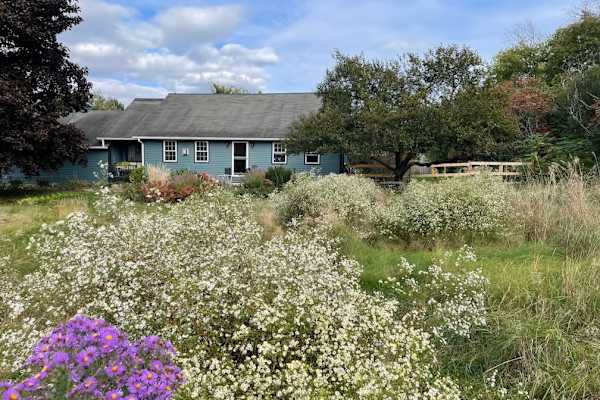 House sit in Shelburne, VT, US