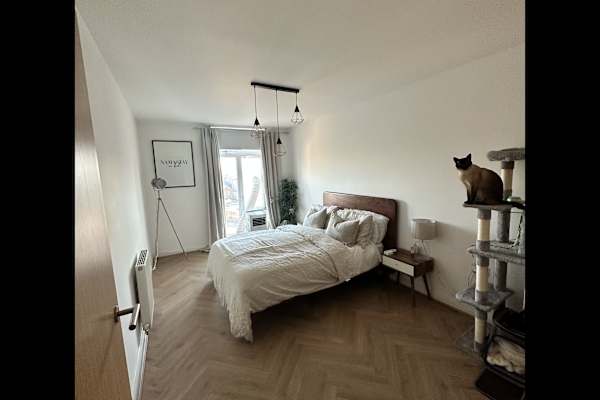 House sit in Crawley, United Kingdom