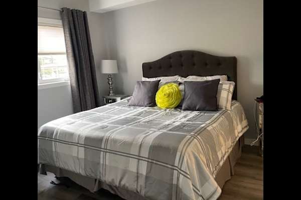 House sit in Red Deer, AB, Canada