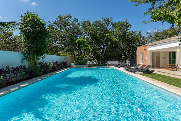 House sit in Playa del Carmen, Mexico