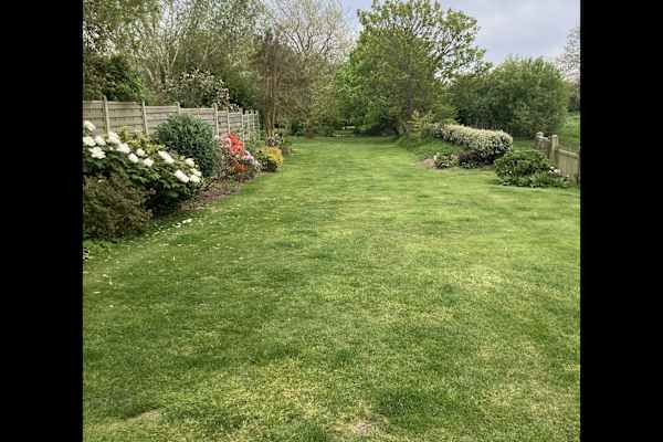 House sit in Saint Helier, Jersey