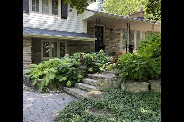 House sit in Burlington, ON, Canada