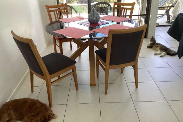 House sit in Mount Coolum, QLD, Australia
