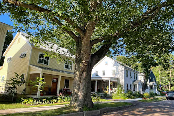 House sit in Burlington, VT, US